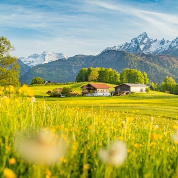 Landurlaub Bauernhof Foto iStock bluejayphoto